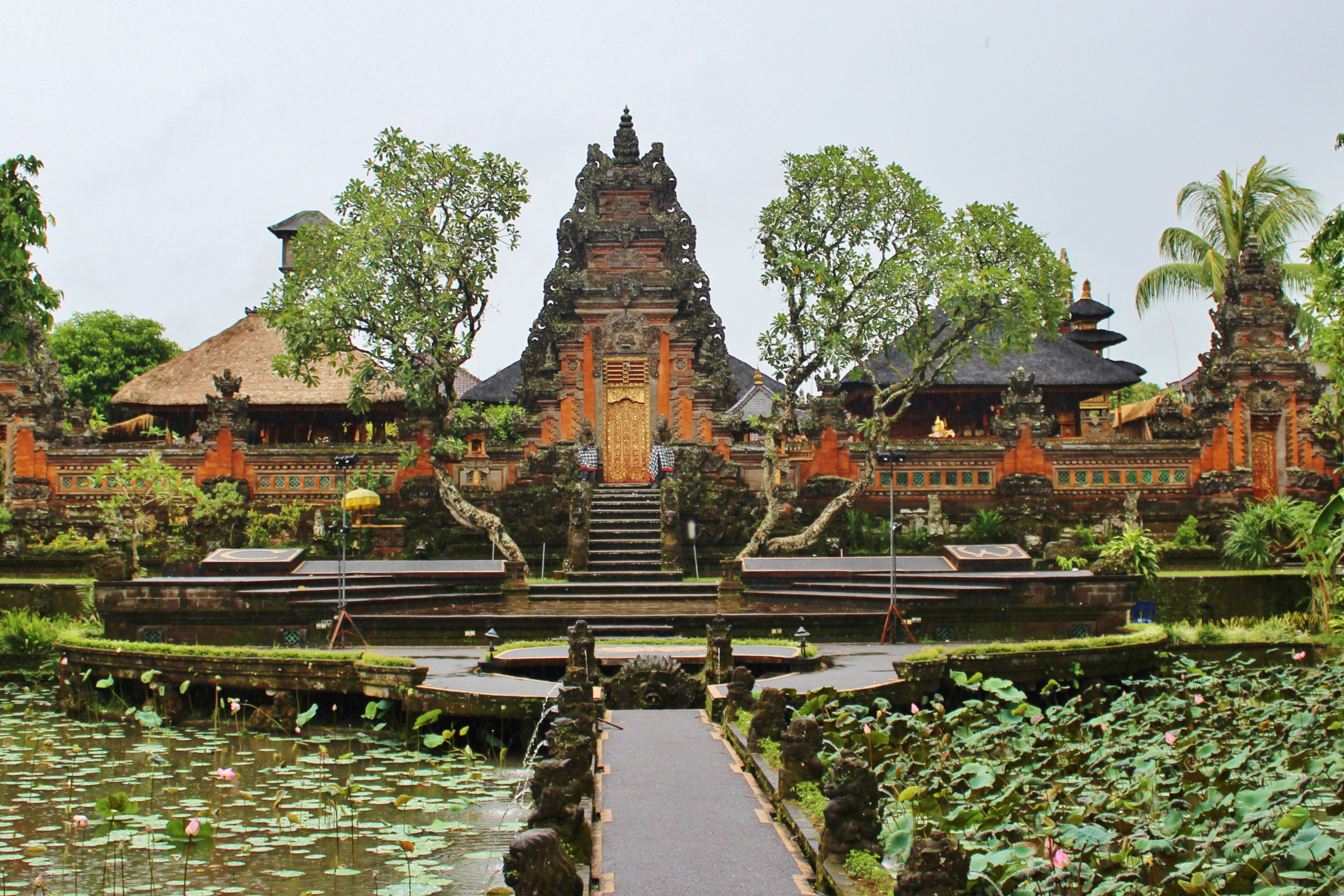 yenwaoupnor (3).webp